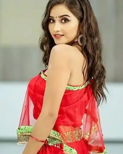 Call Girls Service Tolichowki
